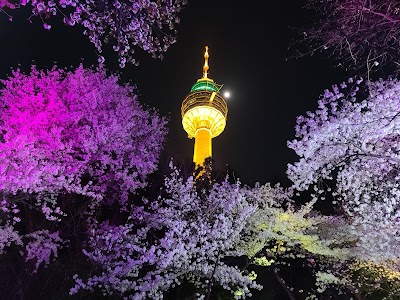 Daegu 83 Tower