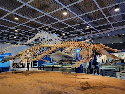 Jangsaengpo Whale Museum