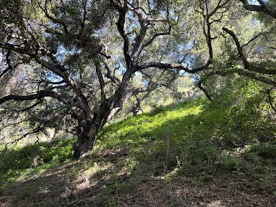 Bob Jones Trail Head