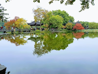 Three Pools Mirroring the Moon