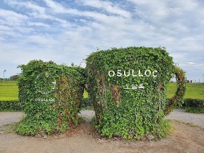 Osulloc Tea Museum
