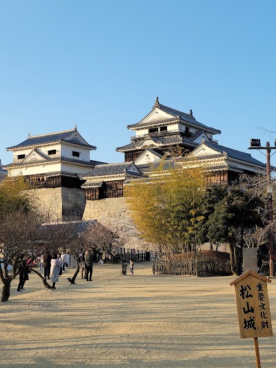Matsuyama Castle