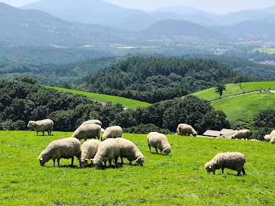 Daegwallyeong Sheep Farm