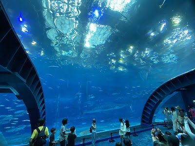 Okinawa Churaumi Aquarium