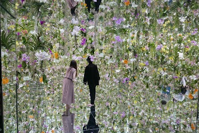 teamLab Planets TOKYO DMM