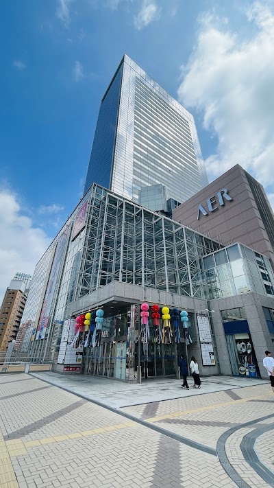 AER Observation Terrace