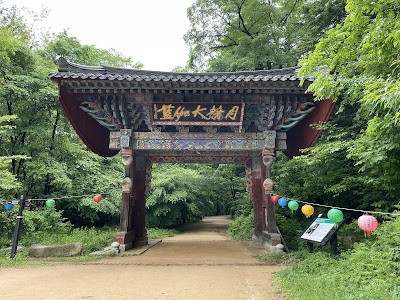 Woljeongsa Temple & Fir Tree Forest