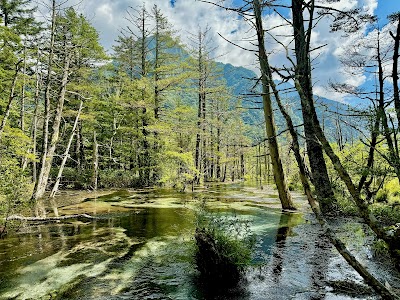 Dakesawa Marsh