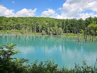 Shirogane Blue Pond (Aoiike)
