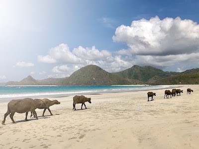 Selong Belanak Beach