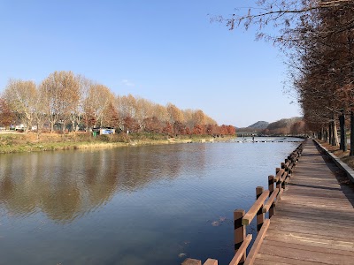 담양 관방제림