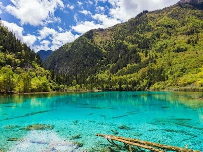 Five Flower Lake