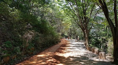 Gyejoksan Mountain Red Clay Trail