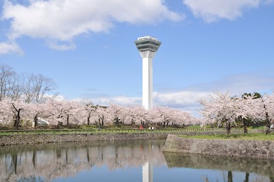Goryōkaku Tower