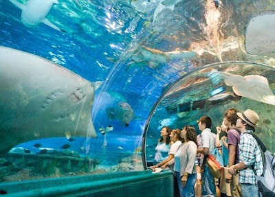 Underwater World Langkawi