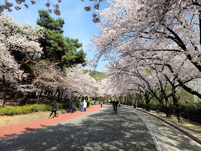 Duryu Park (Daegu)