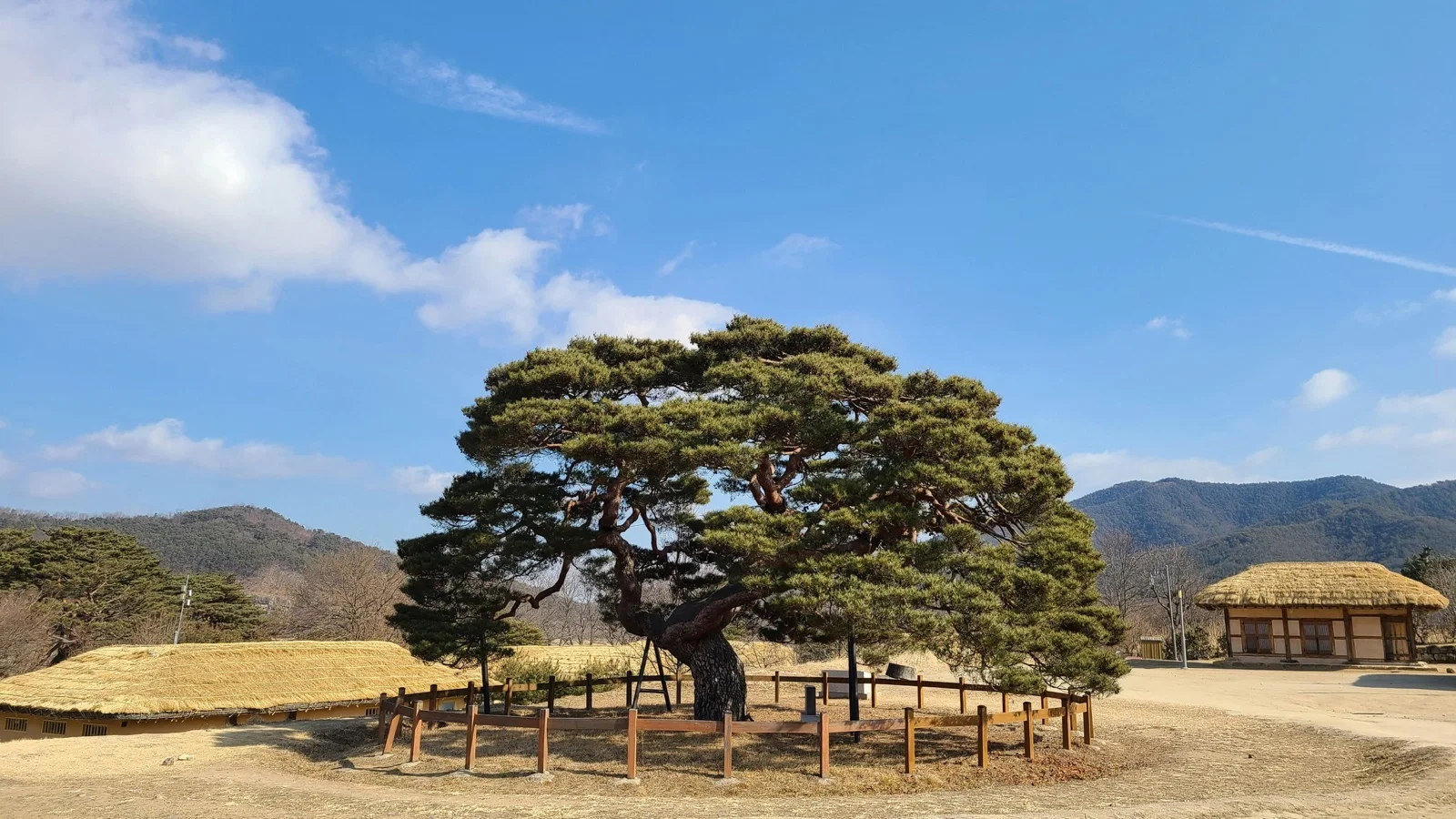 Hahoe Folk Village thatched-roof hanok houses with the Nakdong River bend and forested cliffs in Andong