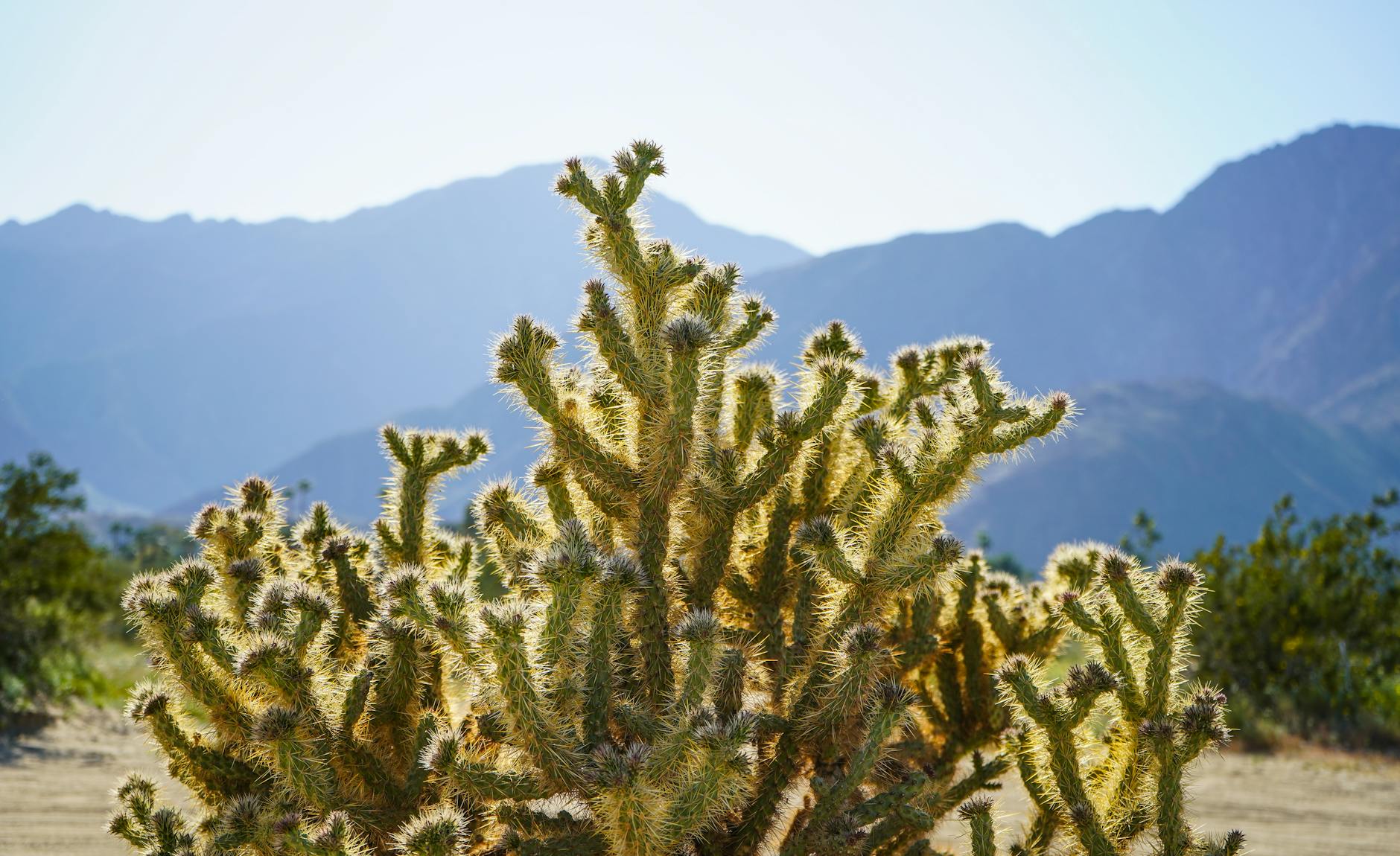The Slot in Anza-Borrego Desert State Park