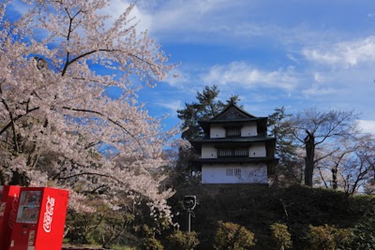 Rowboats gliding beneath cherry blossom tunnel on the Nishibori Moat in Hirosaki Park
