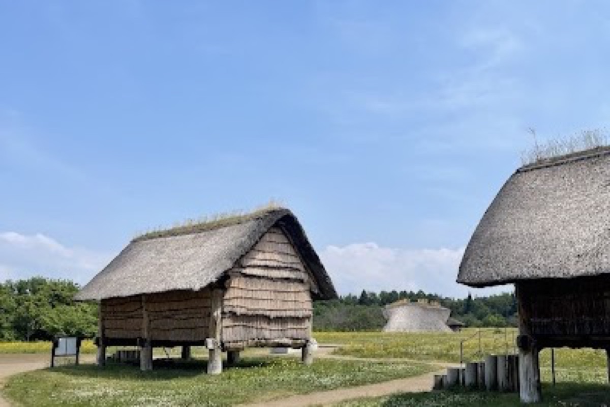 Reconstructed Jomon pit dwellings and six-pillar tower at Sannai-Maruyama archaeological site