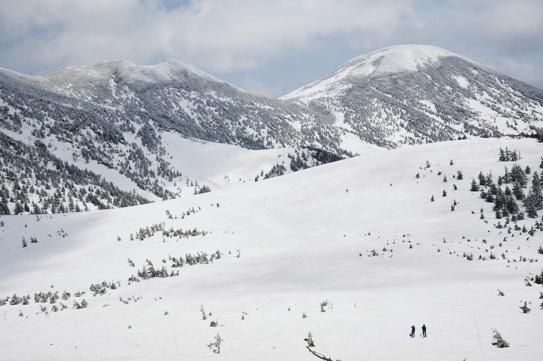 Aomori Gyosai Center (Aomori Nokkedon) in Aomori