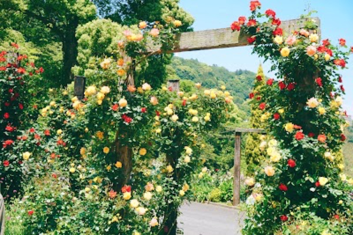ACAO FOREST themed garden terraces overlooking Sagami Bay from the Atami hillside