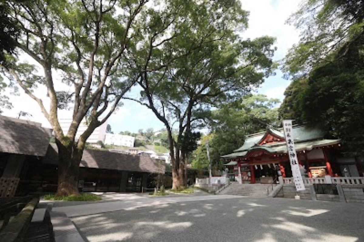 Kinomiya Shrine ancient camphor tree with moss-covered stone lanterns in Atami