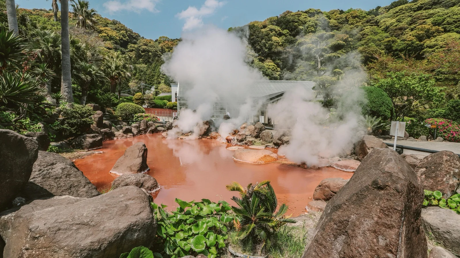 Cobalt-blue boiling pond at Umi Jigoku with steam rising over botanical gardens in Beppu