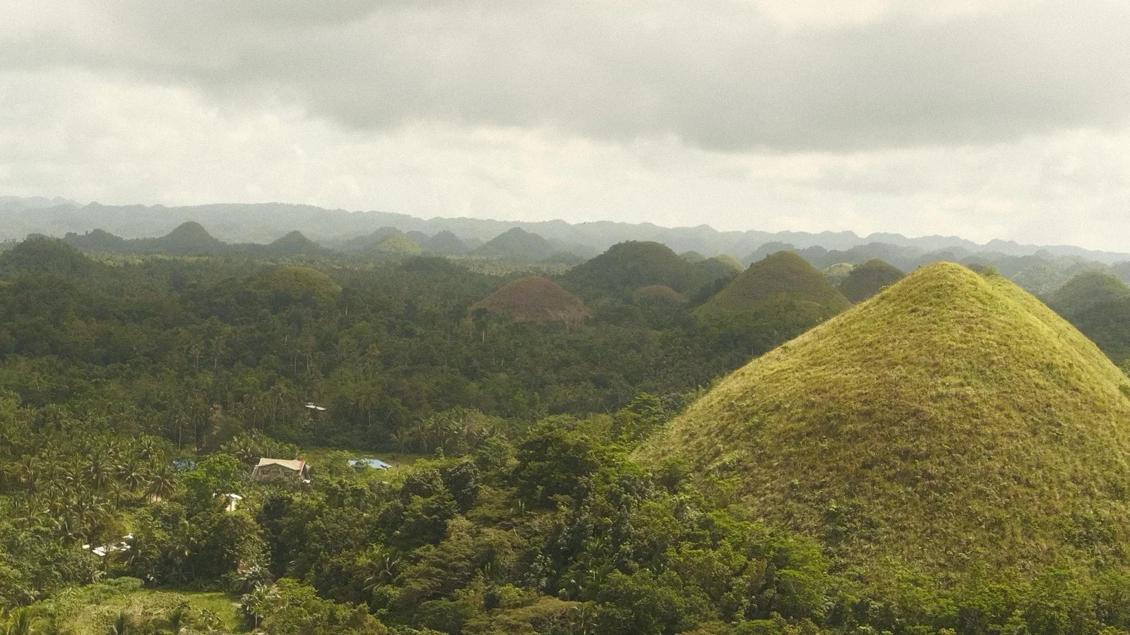 Chocolate Hills observation deck overlooking more than a thousand conical hills in Carmen, Bohol