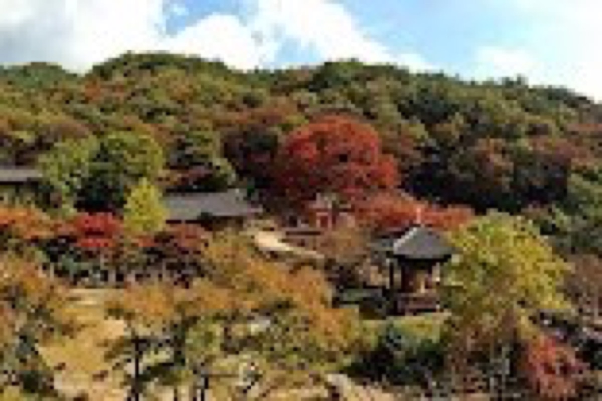 Daewonsa Temple Gukrak Pavilion and mountain valley setting in Boseong