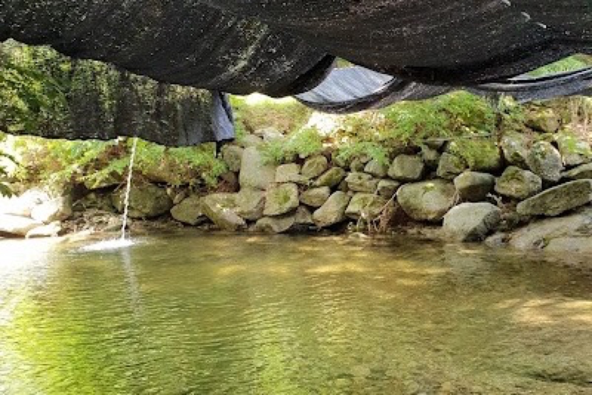 Yongchu Valley waterfall trail through cedar forests below Mt. Illim in Boseong