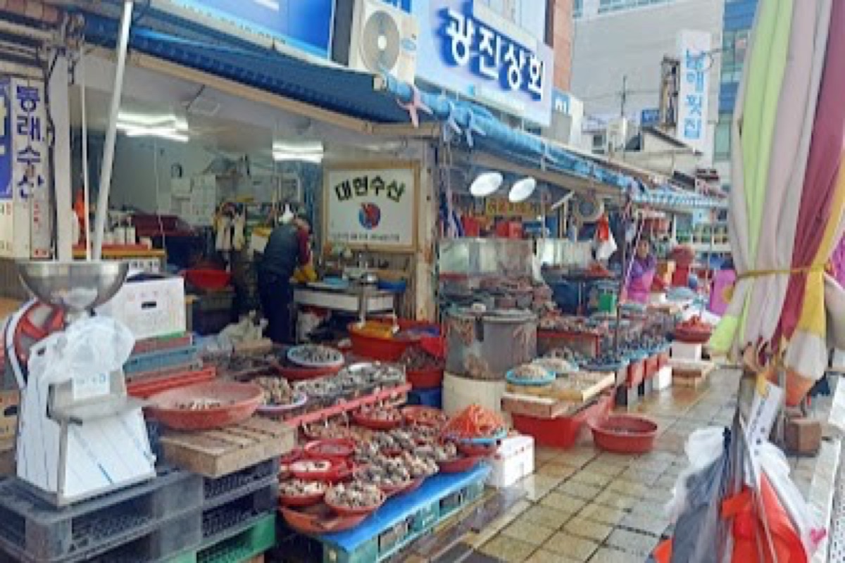 Jagalchi Market fresh seafood stalls with harbor views in downtown Busan