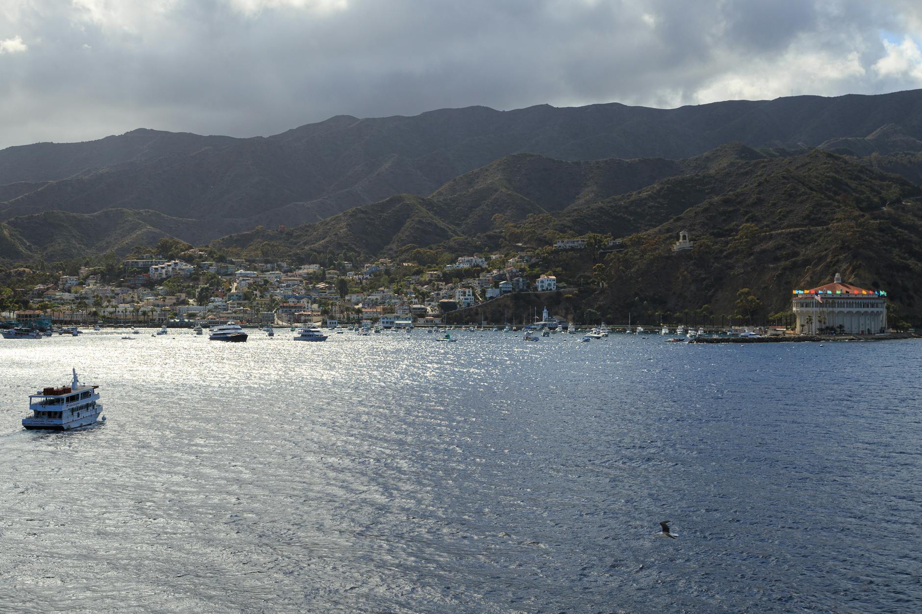 Wrigley Memorial and Botanic Garden in Santa Catalina Island