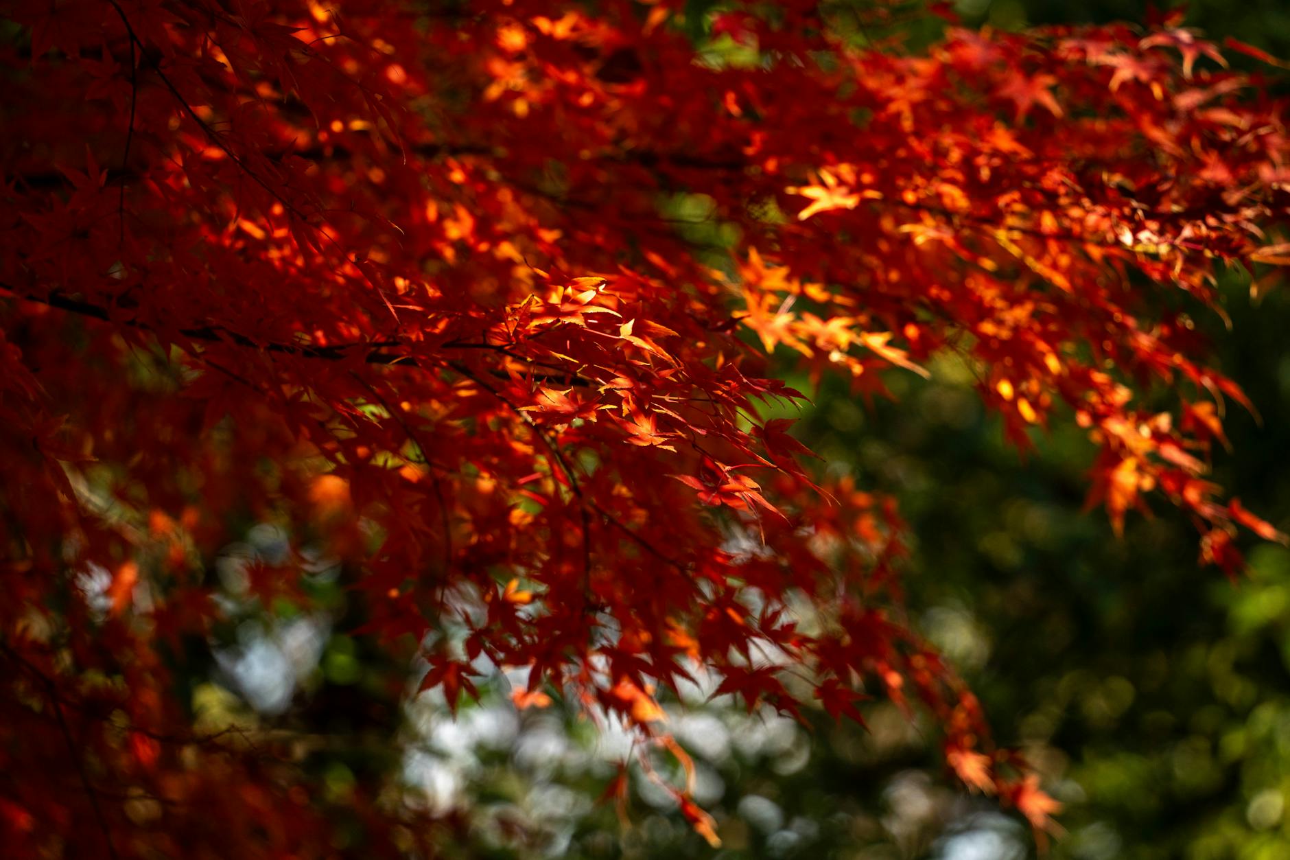 Dongpo Park in Changzhou