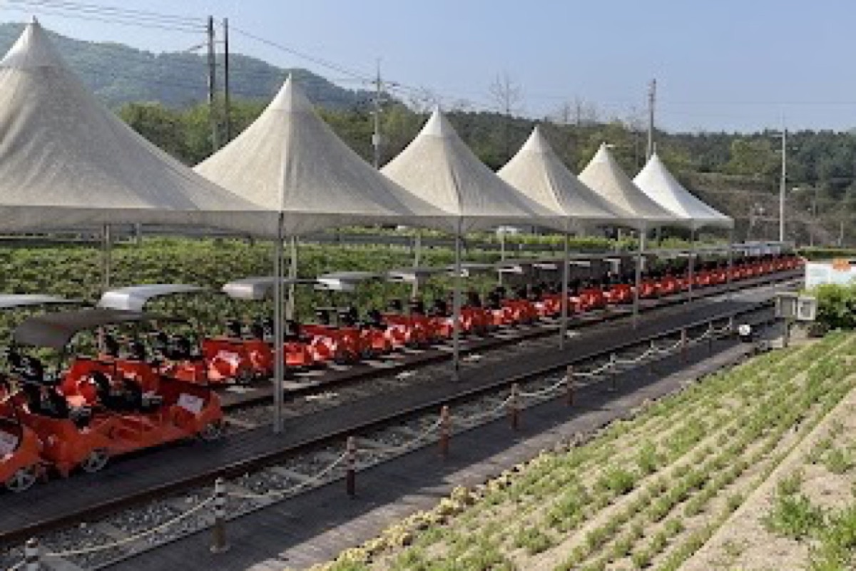 Gangchon Rail Park rail-bike course along the Bukhangang River with autumn foliage tunnels in Chuncheon