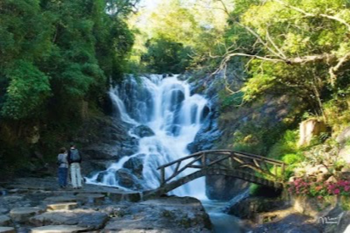 Tiered cascades of Datanla Waterfall framed by pine forest near Da Lat