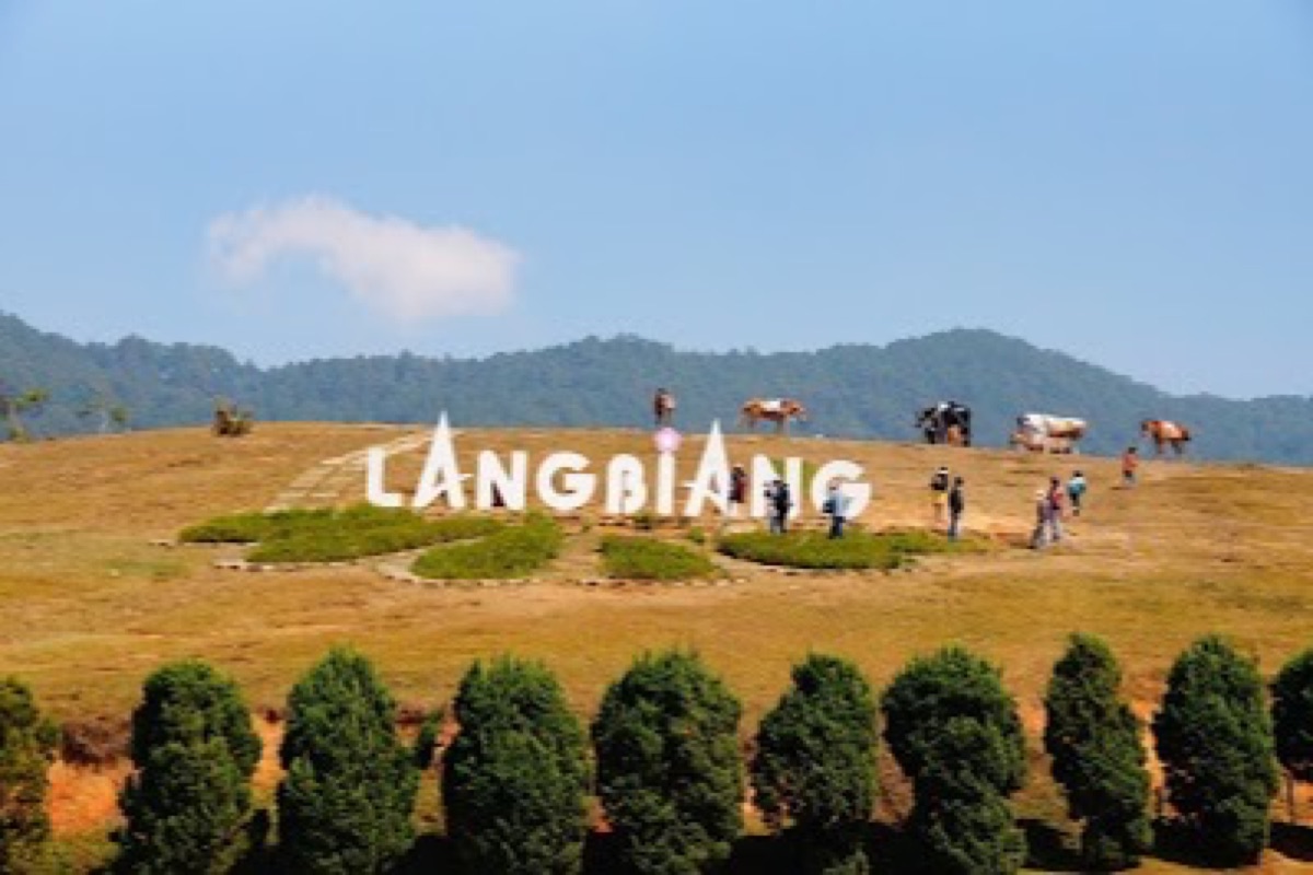 Panoramic view over pine valleys from the Langbiang Mountain summit near Da Lat