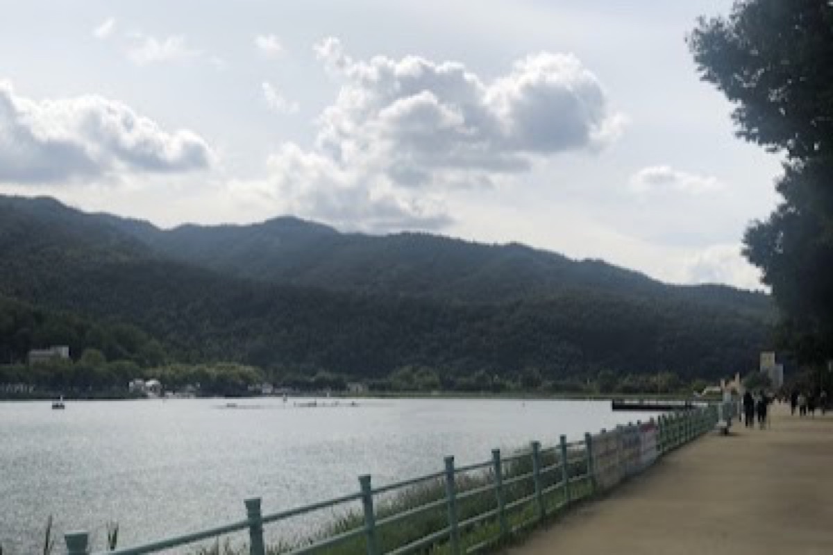 Suseong Lake illuminated music fountain at night with cafe terraces along the shore in Daegu