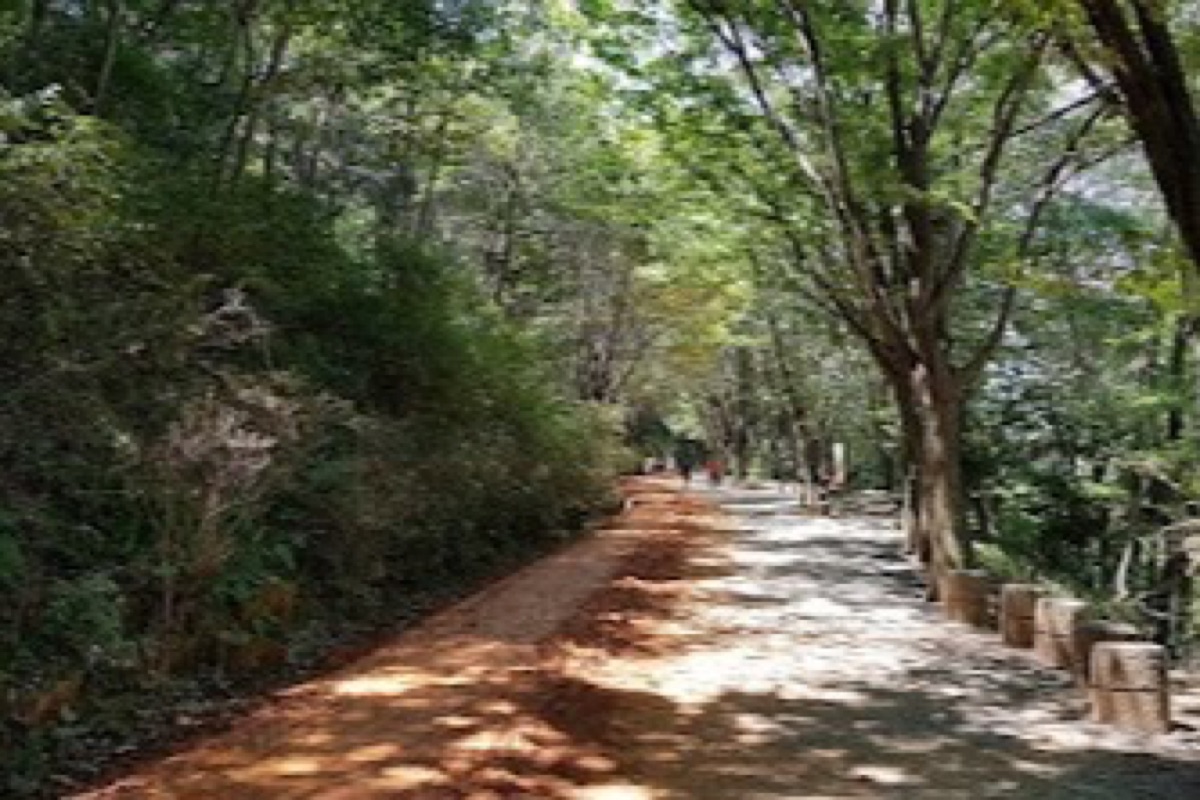 Gyejoksan Mountain red clay barefoot trail winding through forested slopes northeast of Daejeon