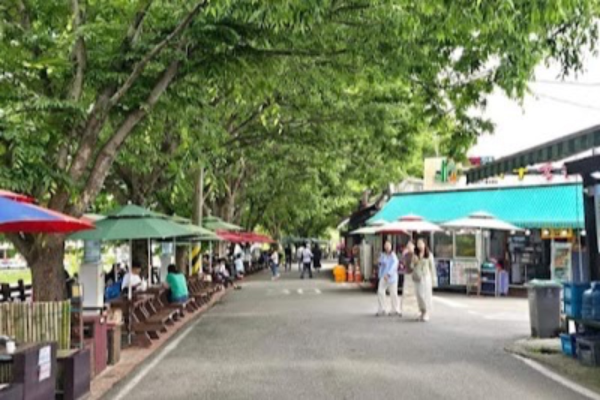 Damyang Noodle Street riverside restaurants serving kalguksu and pajeon on terraces along the Yeongsan River