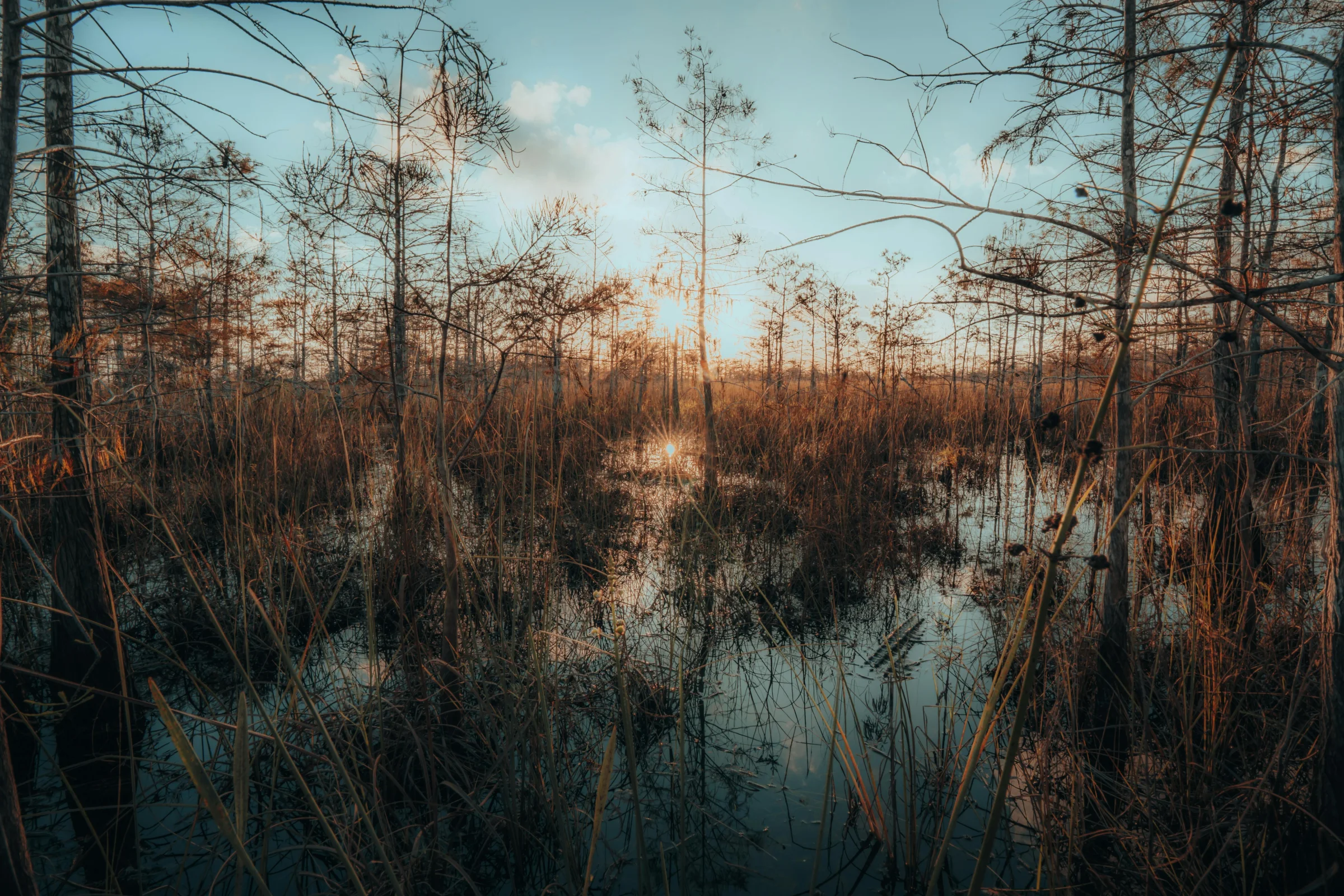 Aerial view of the Everglades wetlands at sunset in Florida