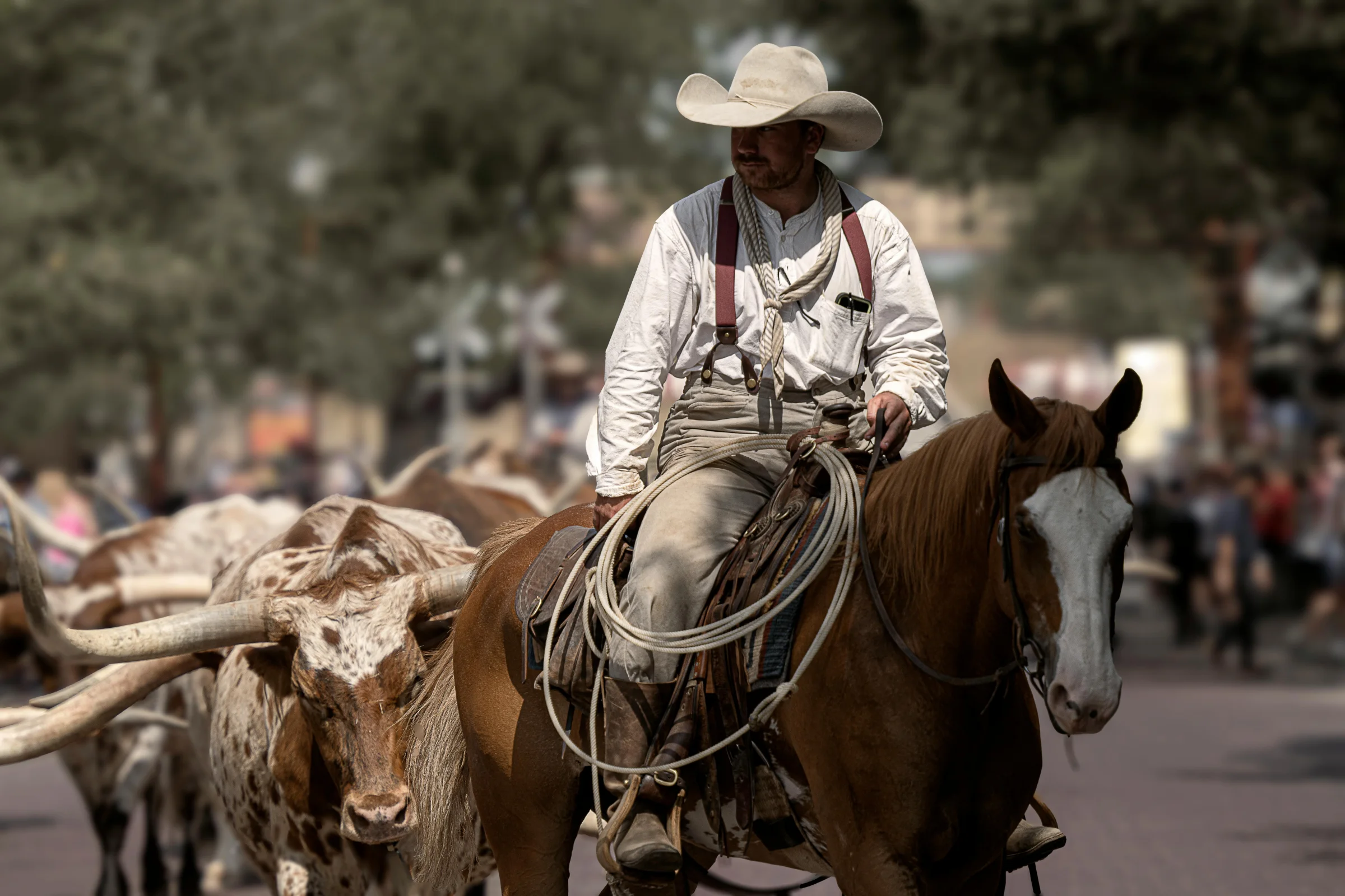 Downtown Fort Worth skyline at sunset in Texas