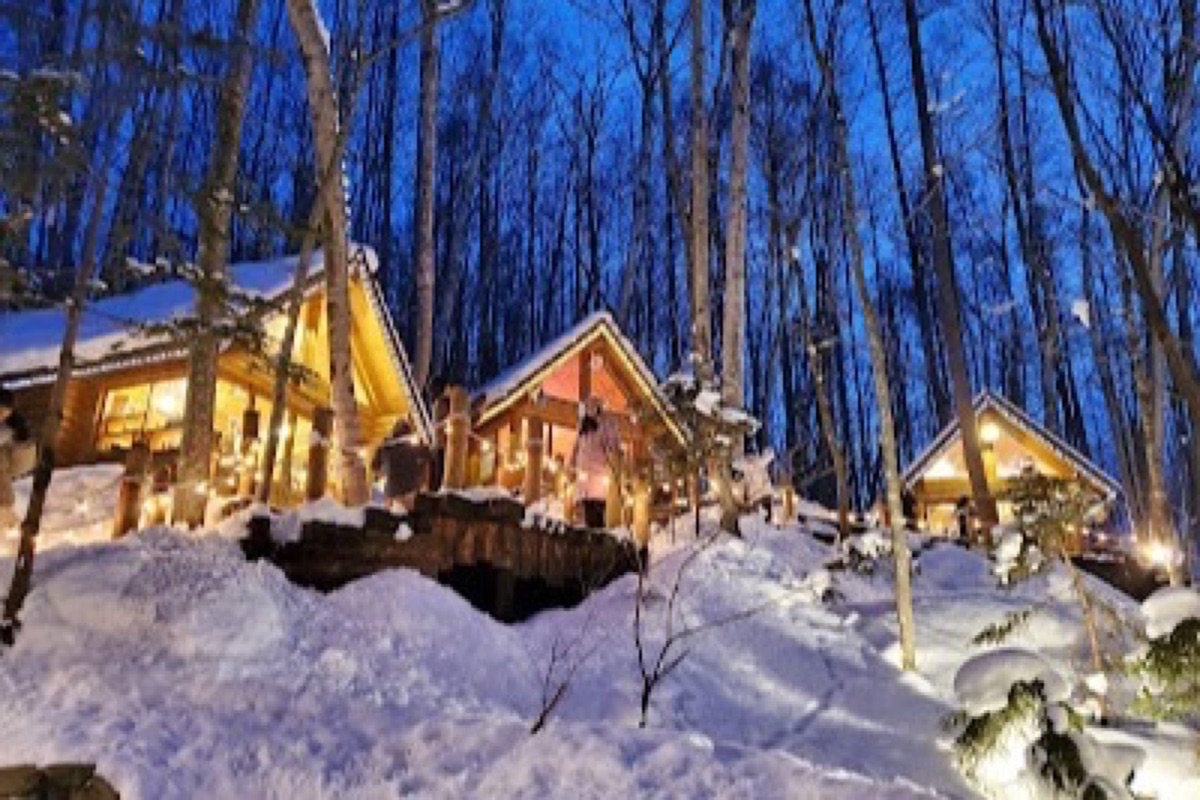 Ningle Terrace artisan cabins lit at dusk among forested walkways in Furano