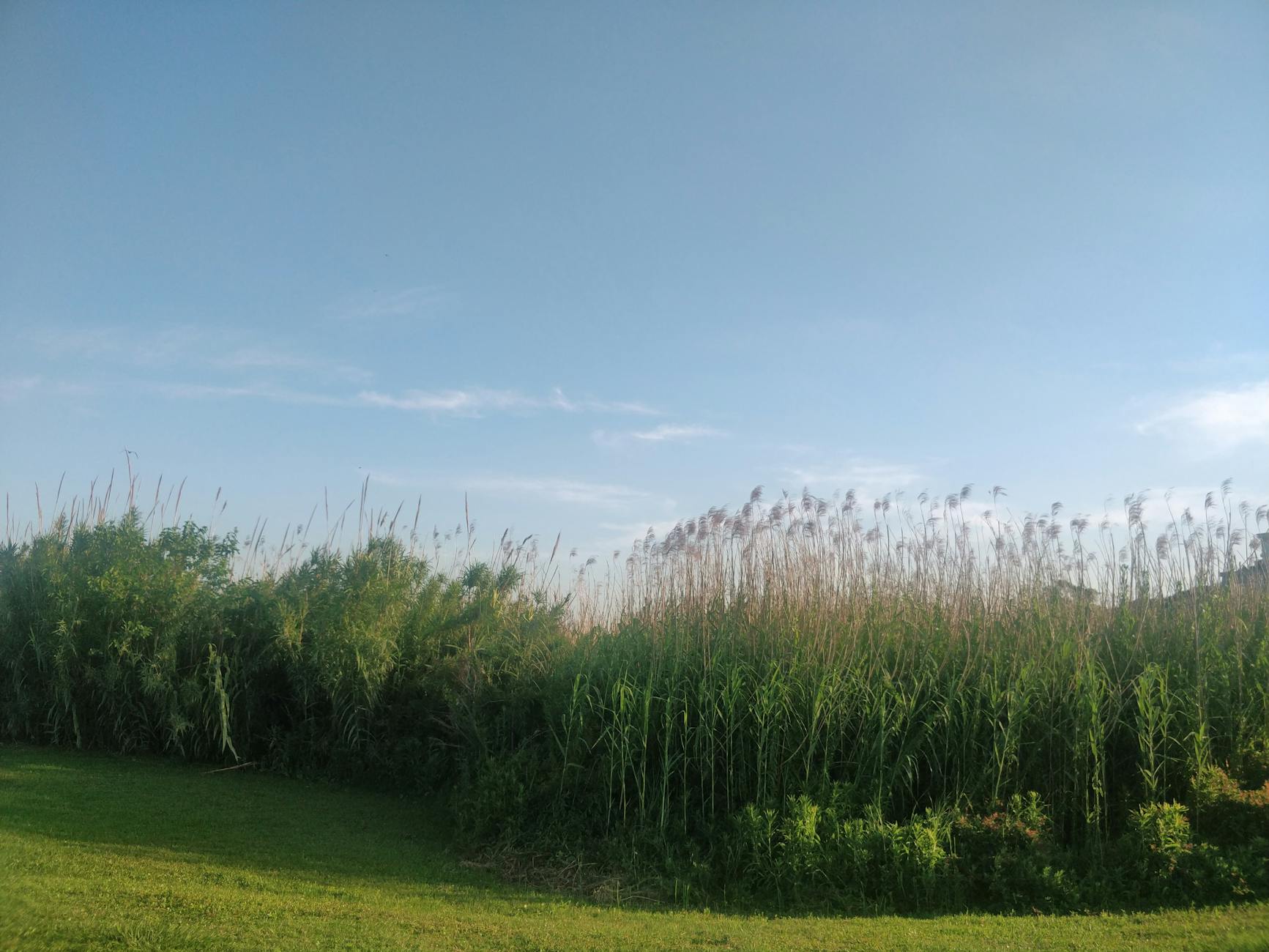Galveston Historic Seaport - Home of the 1877 Tall Ship ELISSA in Galveston