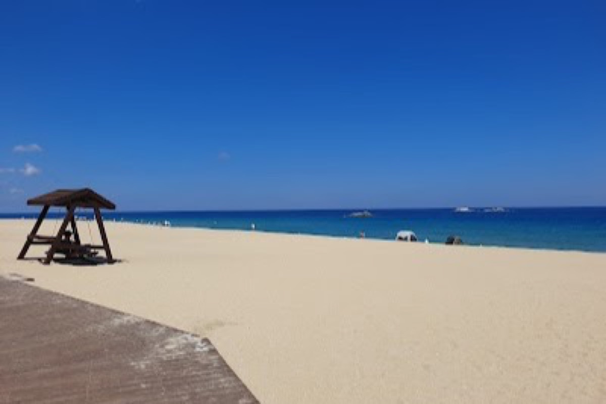 Gyeongpo Beach wide sandy shore with pine tree promenade along the East Sea in Gangneung