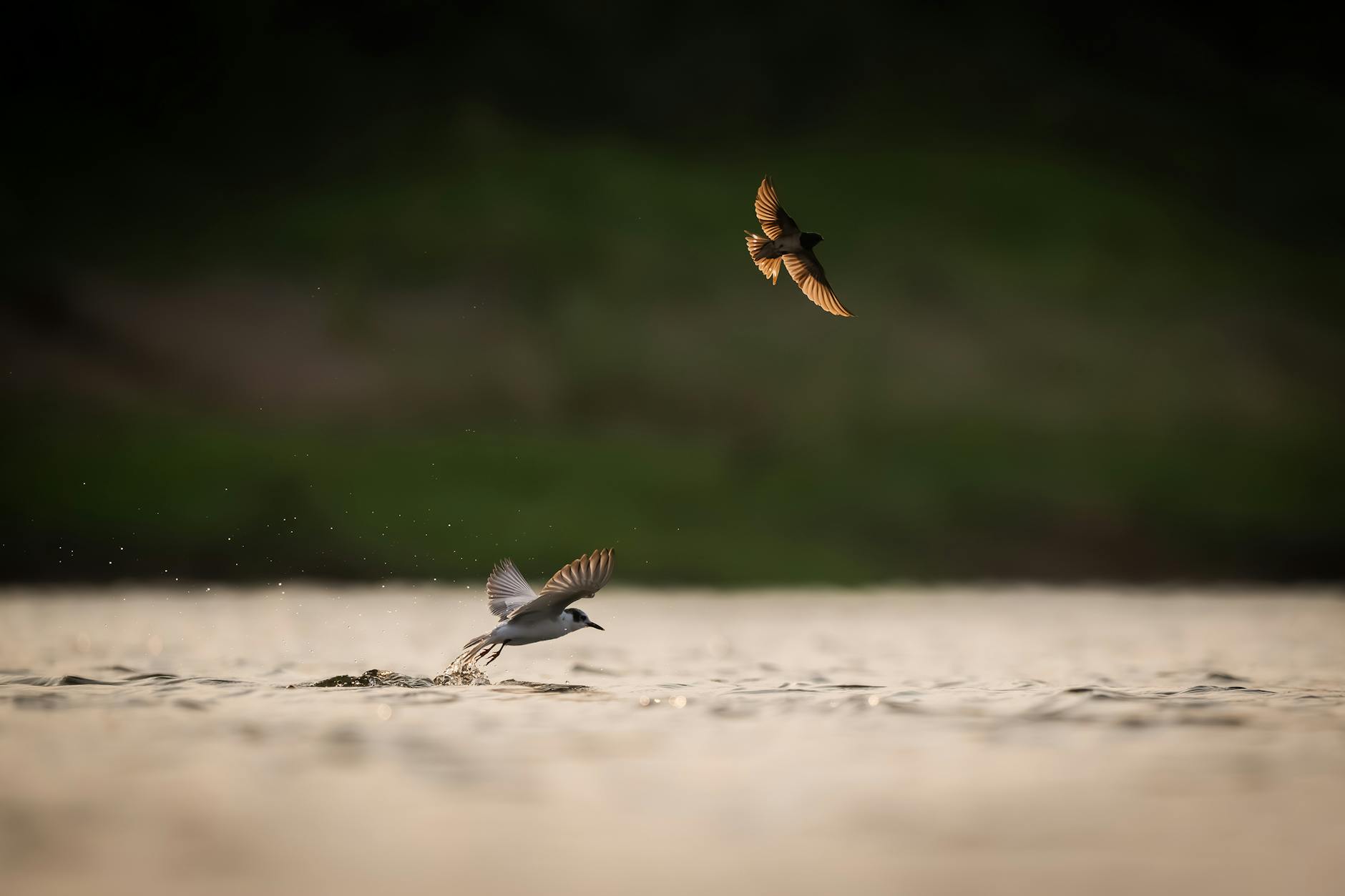 广州塔 in Guangzhou