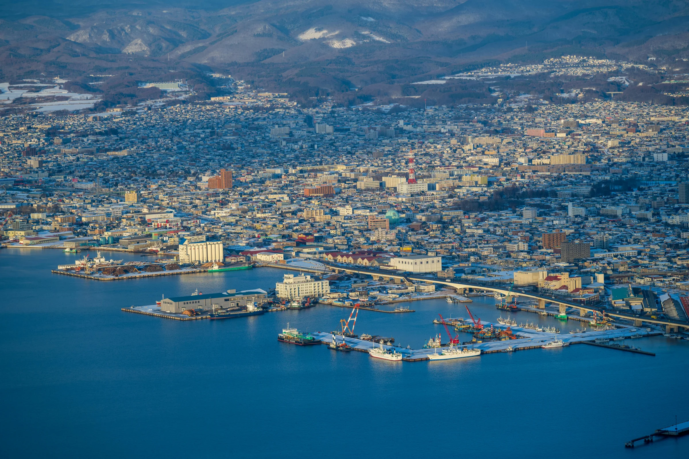 Night cityscape of Hakodate, Japan from Mount Hakodate viewpoint