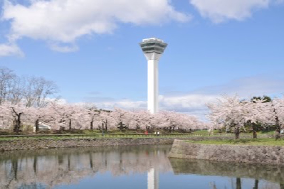 Aerial view of Goryokaku star-shaped fort from Goryokaku Tower observation deck