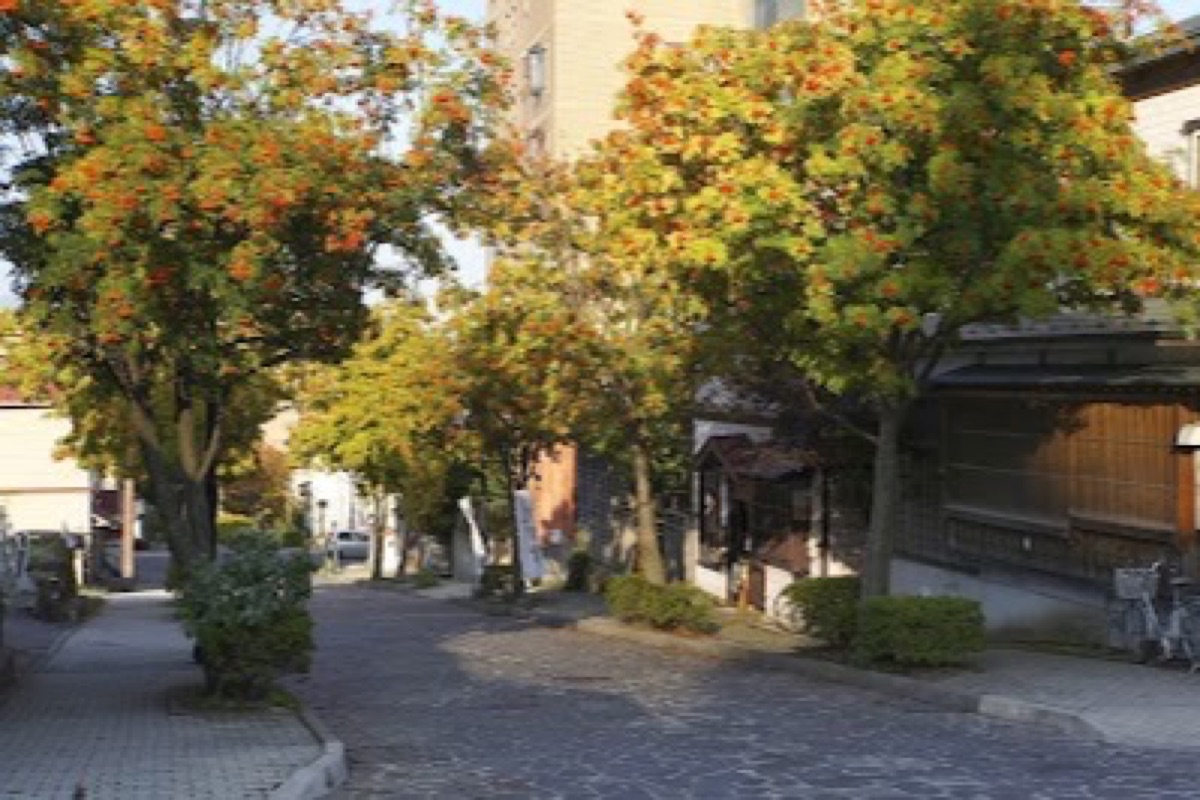 Hachiman-zaka stone-paved slope with Hakodate Bay framed between historic buildings