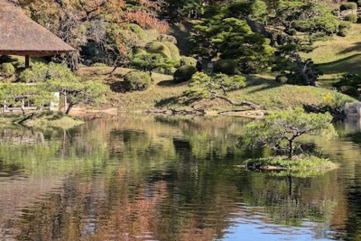 Shukkeien Garden pond with red maple foliage and tea house in Hiroshima